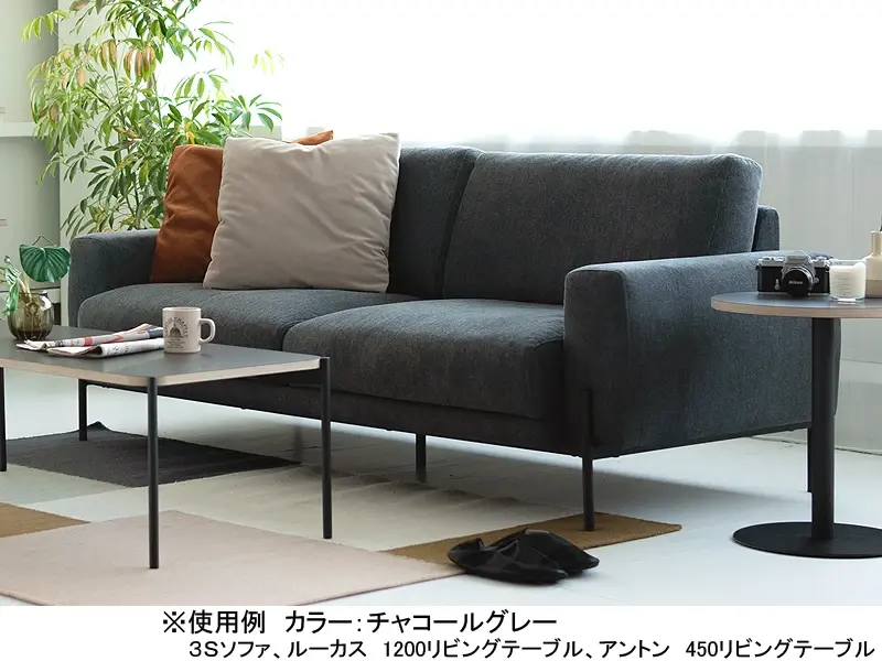 クラウス 2.5S ソファ