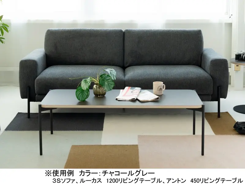 クラウス 2.5S ソファ