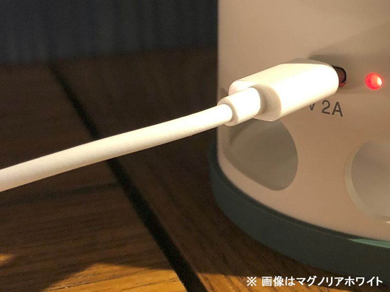 OLD DAYS LED ポータブルランプ アンバーブラウン