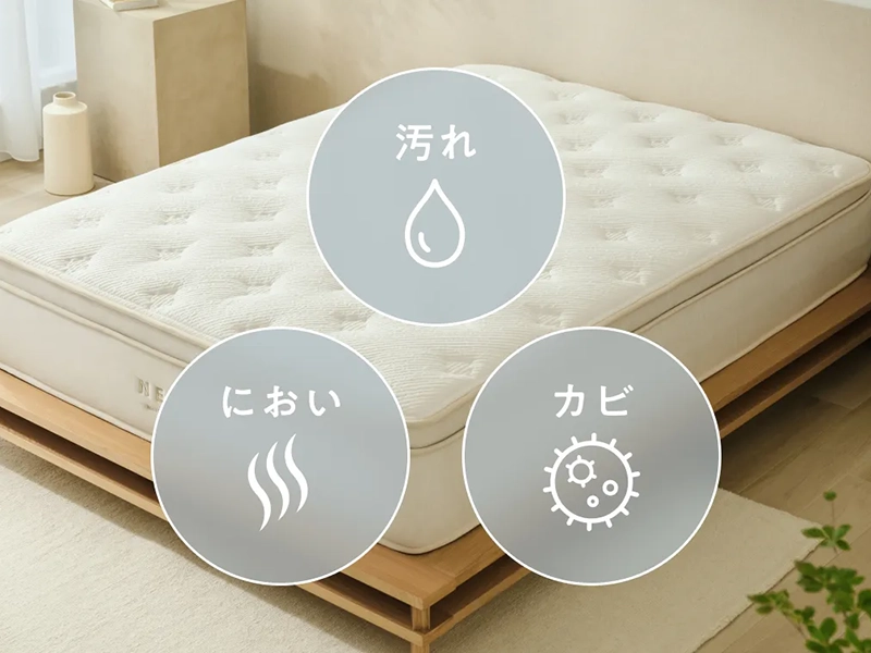 NELL ファブリックミスト