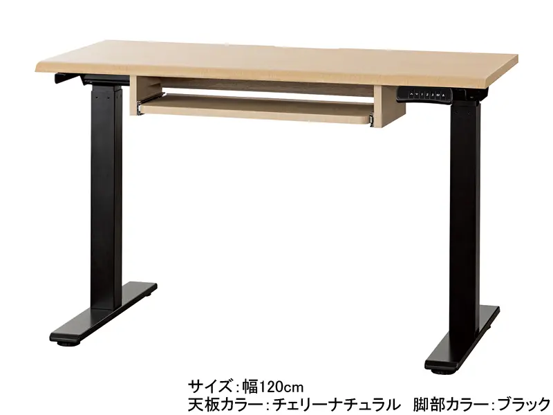 JDE 電動昇降デスク 幅120cm