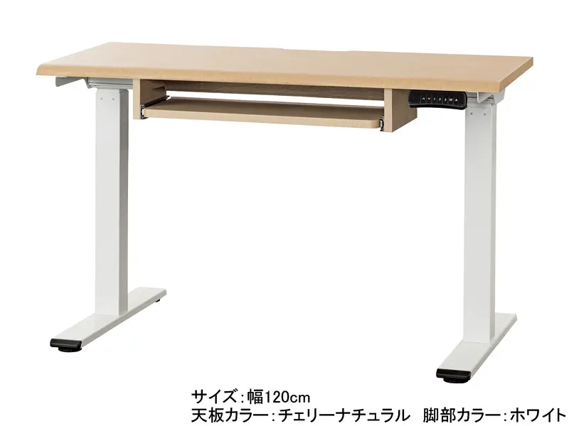 JDE 電動昇降デスク 幅120cm