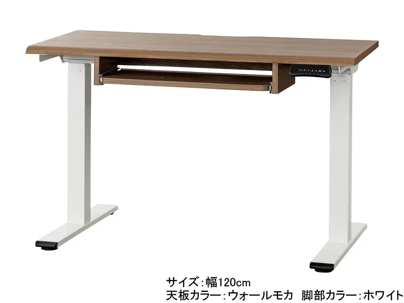 JDE 電動昇降デスク 幅120cm