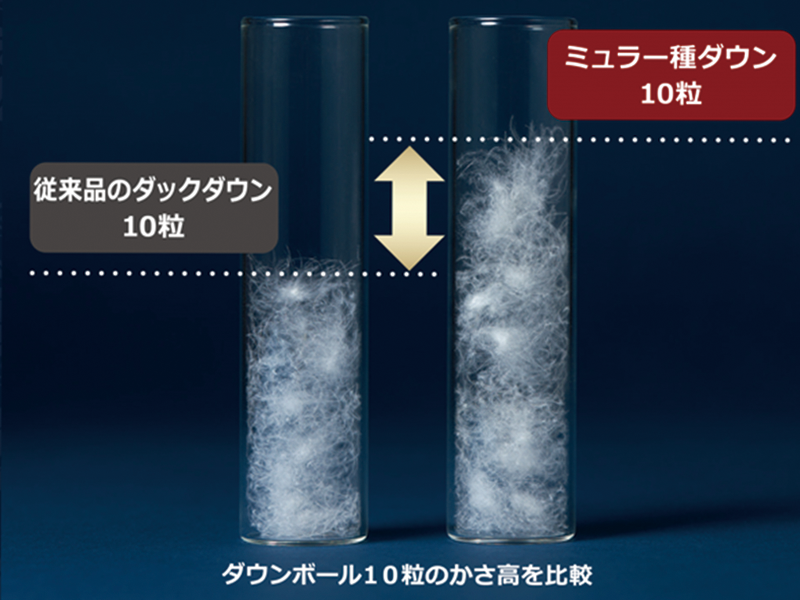 GP5452GY ミュラー D90 Sデュエット羽毛 1.1 KA05593340