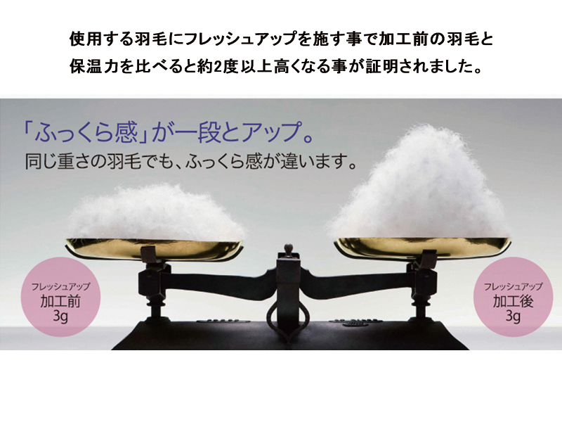 GP5454GY UAWG90 S羽毛布団 1.2 KA05995342