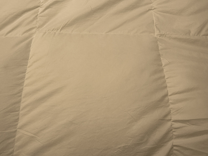 GP5454GY UAWG90 D羽毛布団 1.7 KA05995342