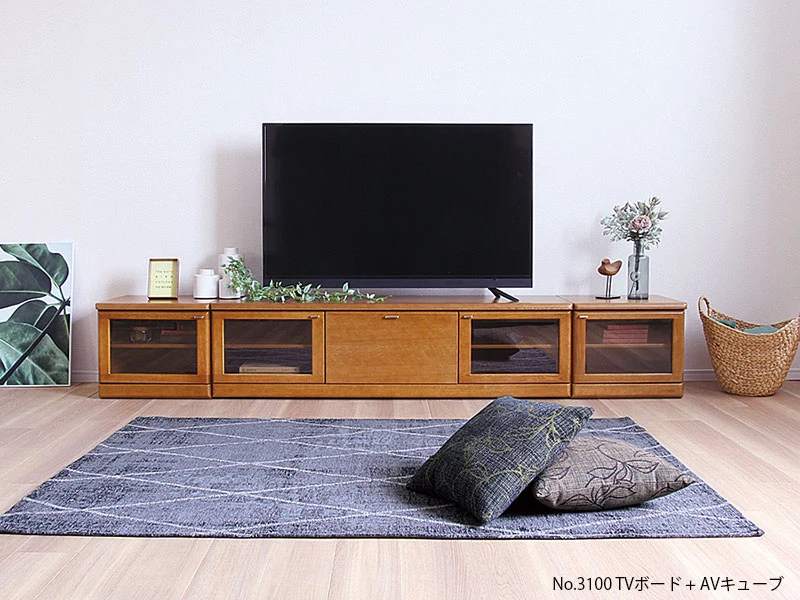 No.3100 [W101] TVボード