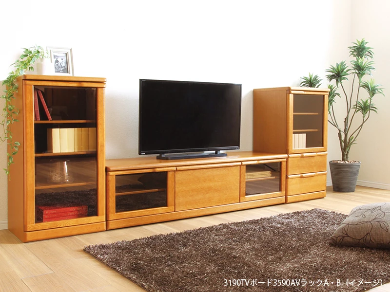 No.3190 [W101] TVボード