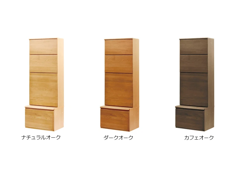 No.5100 [W60H170] 板開戸