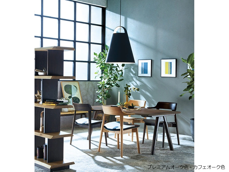 DA-4900M ダイニングチェア （No.4900 ダイニングチェア）