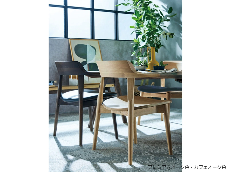 DA-4900M ダイニングチェア （No.4900 ダイニングチェア）