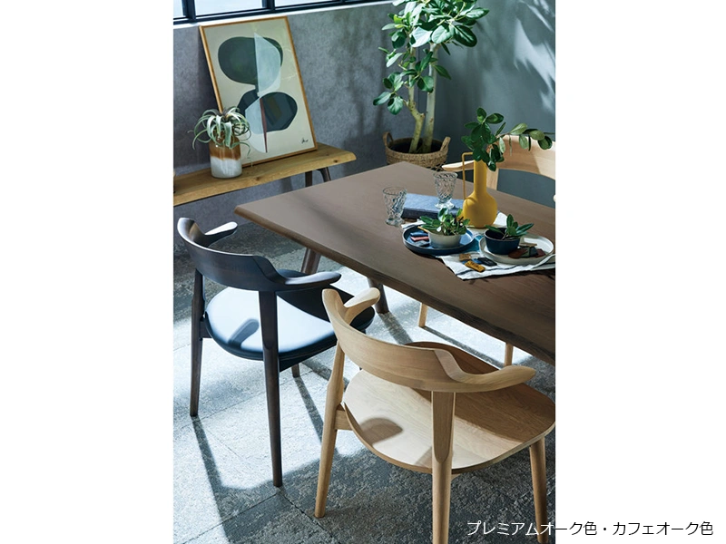 DA-4900M ダイニングチェア （No.4900 ダイニングチェア）