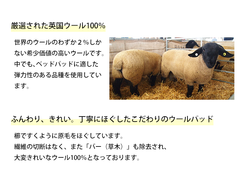 もっちりウールパッド