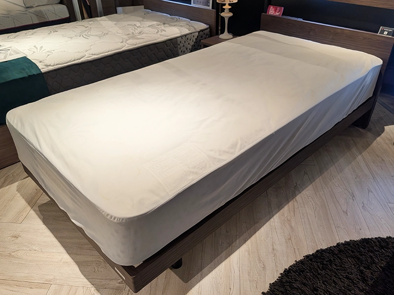 ドクタープロケア（プロテクター）