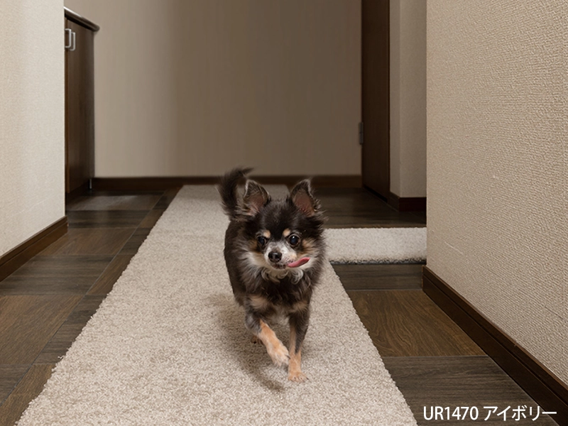 ソフティライン タイルカーペット 50cm×50cm 6枚入り