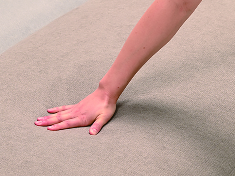 F&E アイランド ソファ 幅195cm