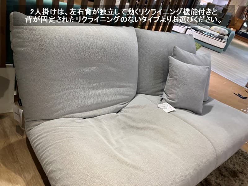 ロゼ カラン 2 ソファ スチールレッグ