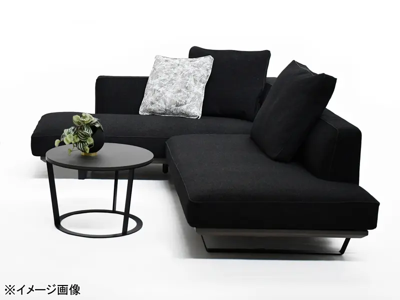 カストール 50 座面ソフトタイプ カウチソファ(向かって右)