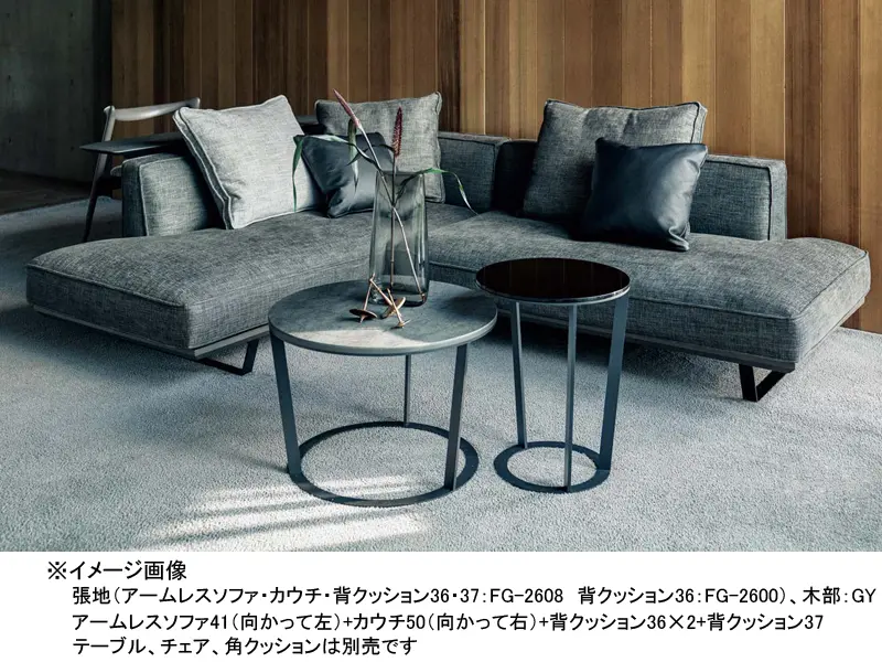 カストール 35 背クッション W500