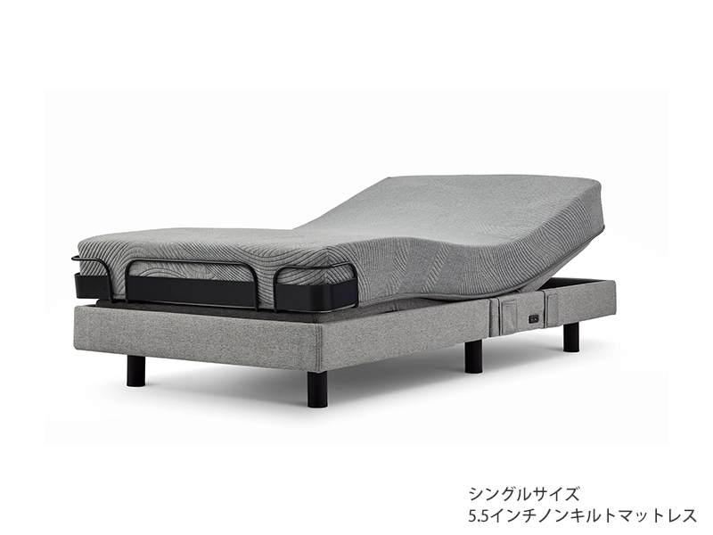 iDモーション 2モーター 電動ベッド(5.5マットレス付き)セミダブル