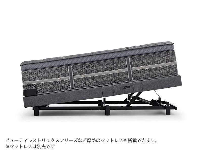 Eバランス 1モーター 電動ベッド SM2520004011 クイーン