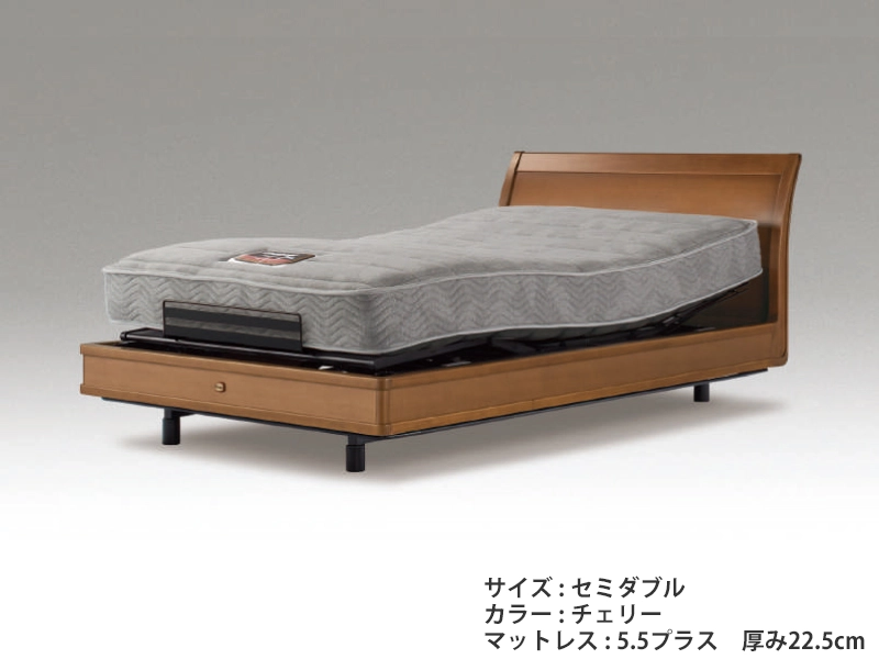 マキシマ グランデ 安全装置付き電動リクライニングベッド(マットレス付)セミダブル