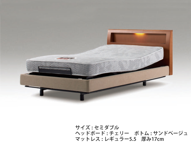 マキシマ スリムシェルフⅡ 安全装置付き 電動リクライニングベッド（マットレス付）セミダブル