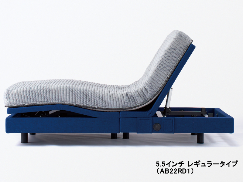 シムレスト 2モーター 電動リクライニングベッド（5.5マットレス付き）セミダブル