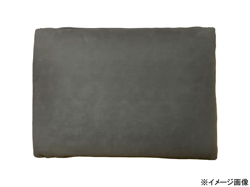 パルテ 600 長方形クッション