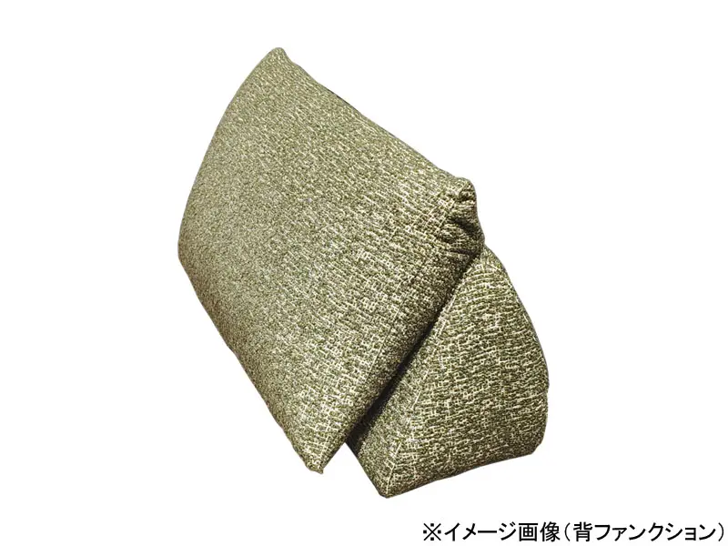 パルテ 背ファンクション