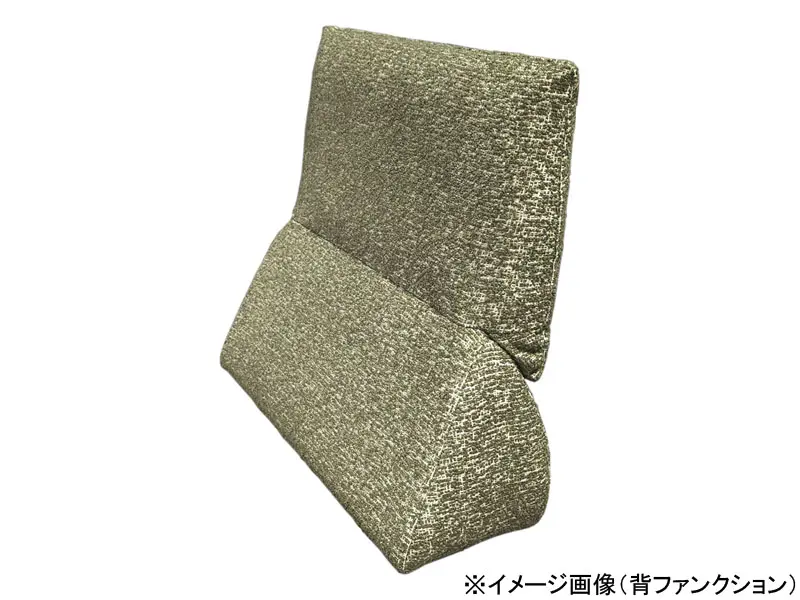 パルテ 背ファンクション