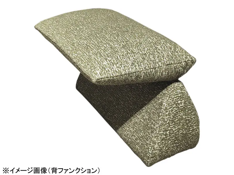 パルテ 背ファンクション