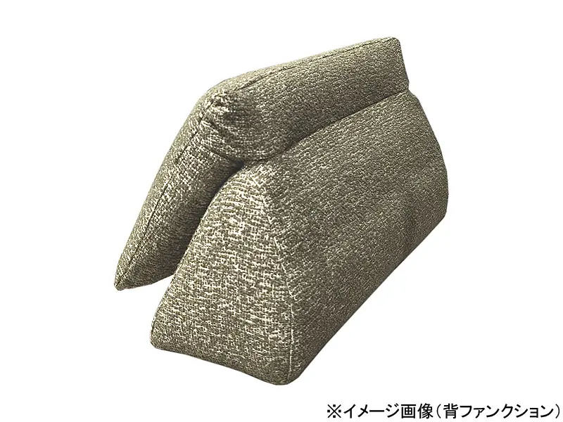 パルテ 背ファンクション