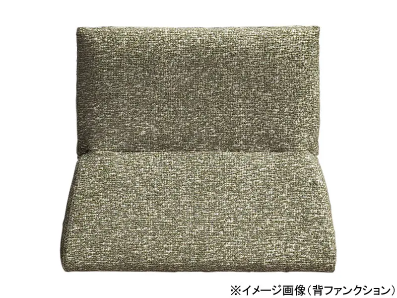 パルテ 背ファンクション