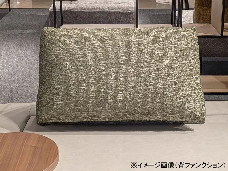 パルテ 背ファンクション