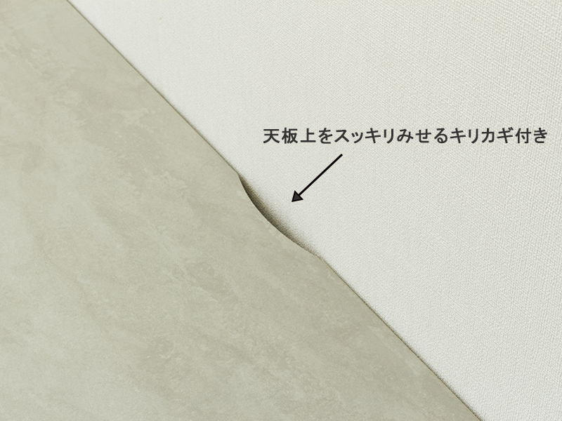 TR 120 サイドボード