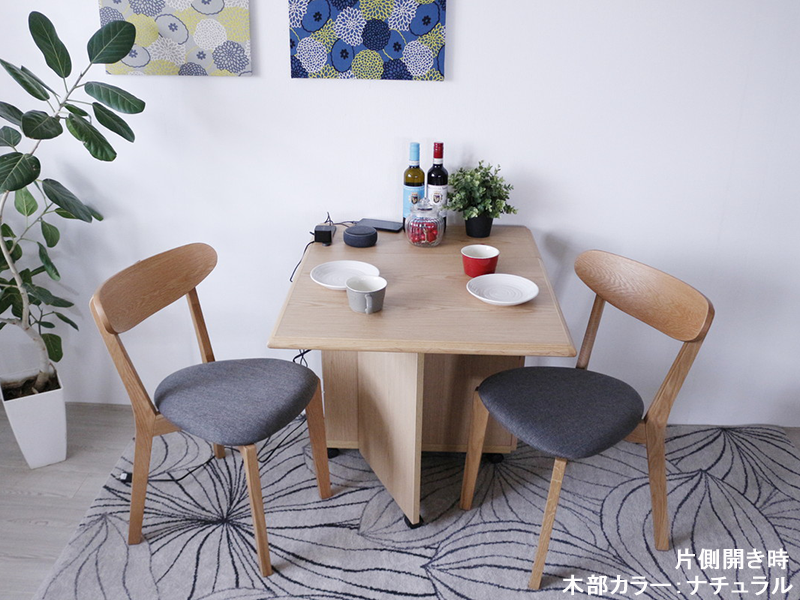 EA USB付き T字バタフライカウンター