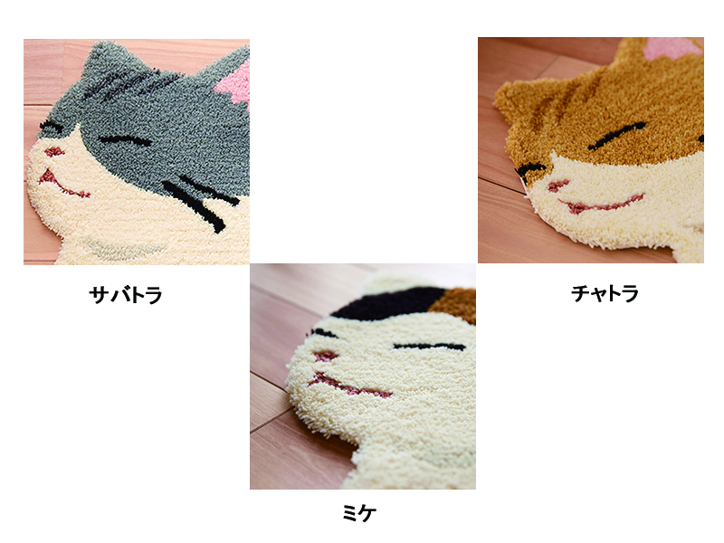 コウバコスワリ マット