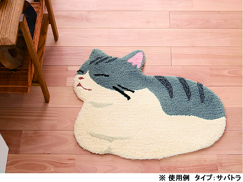 コウバコスワリ マット