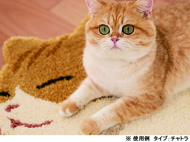 コウバコスワリ マット