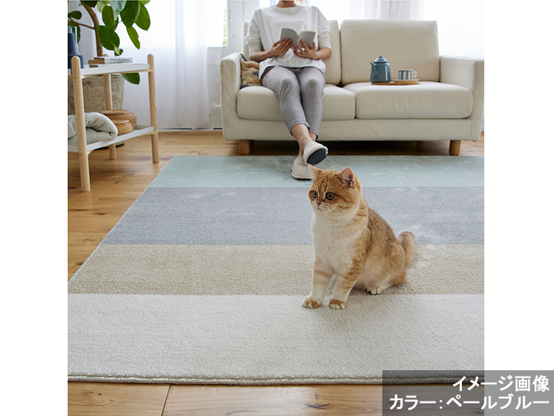 ワグ ラグ
