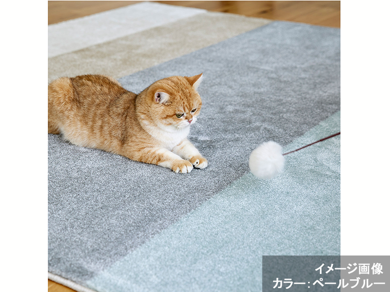 ワグ ラグ