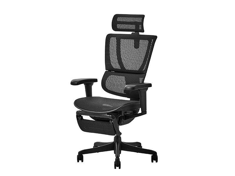エルゴヒューマン FIT2 LITE  BF ワークチェア