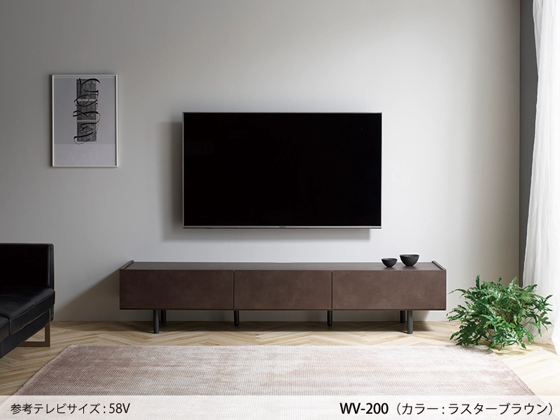 WV-180 TVボード