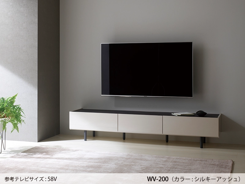 WV-200 TVボード