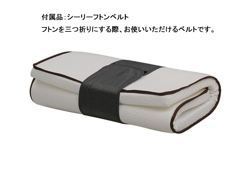 シーリー フトン スタンダード