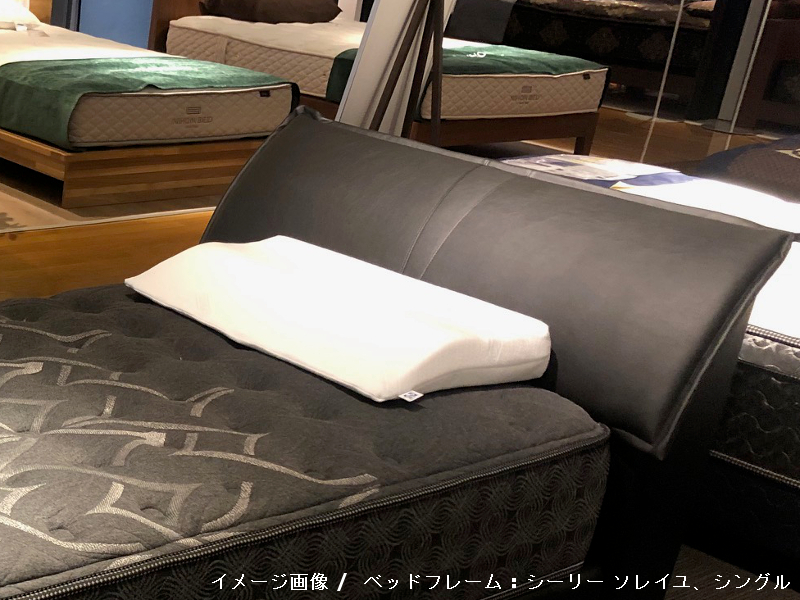 ラテックスピロー アナトミック