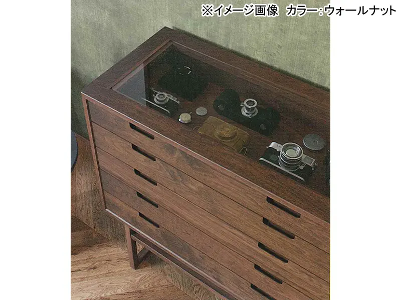 サルビア 90 ギャラリーチェスト