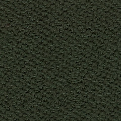 DARK GREEN/B783