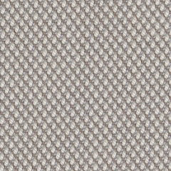 BEIGE/B786